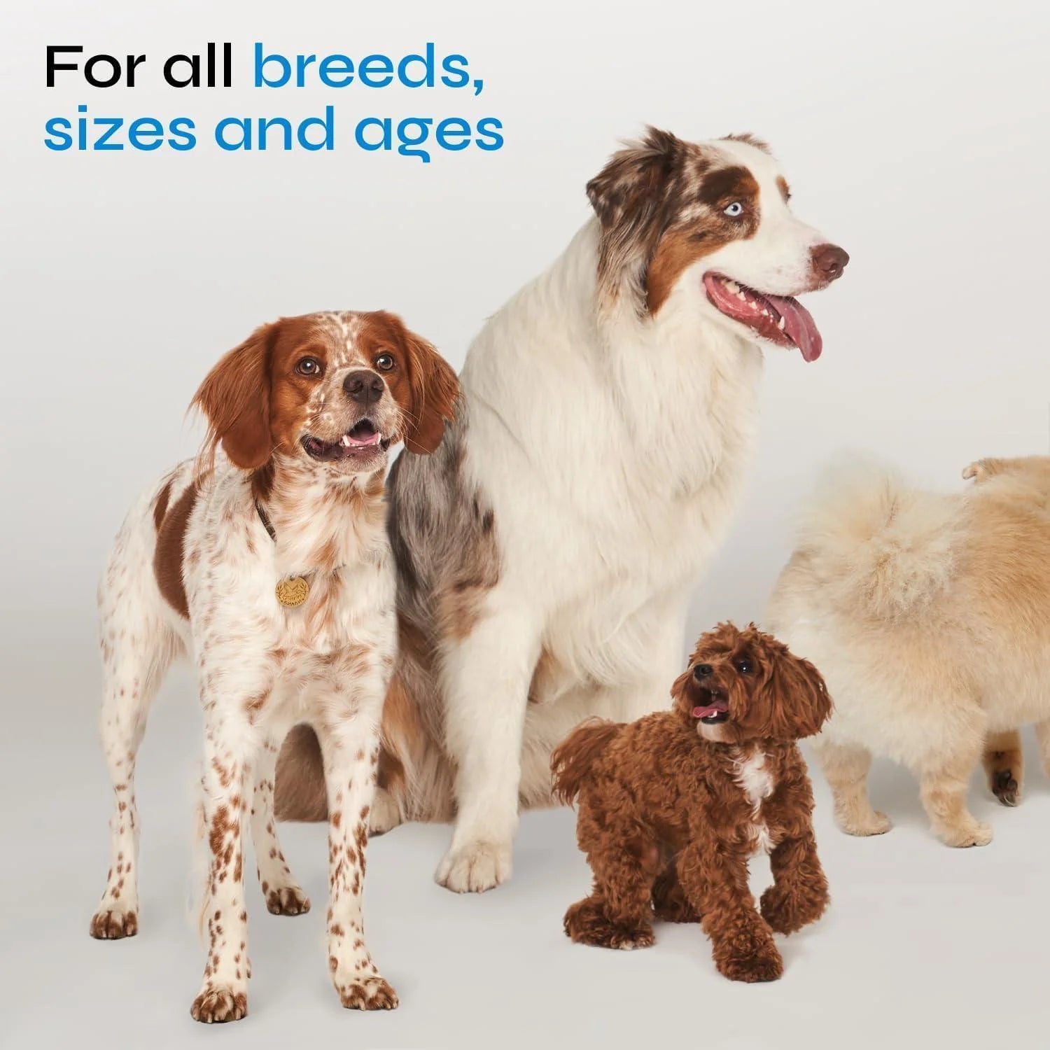 Probiotics for Dogs Dog Probiotic Chews for Digestive and Gut Health Dental Immune System Support Chewable Prebiotic Soft Treats Wild Yam Yeast Powder Diarrhea and Bowel Support Supplement