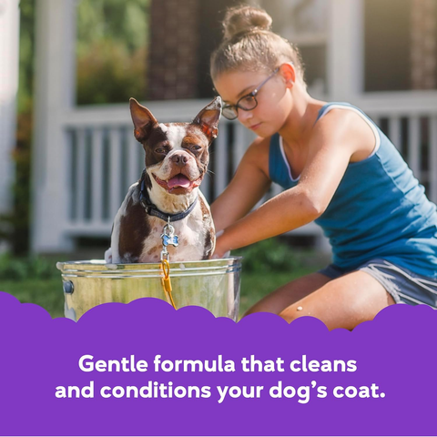 Buddy Wash 2-in-1 Dog Shampoo & Conditioner | Lavender & Mint (1 Gallon)
