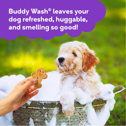 Buddy Wash 2-in-1 Dog Shampoo & Conditioner | Lavender & Mint (1 Gallon)