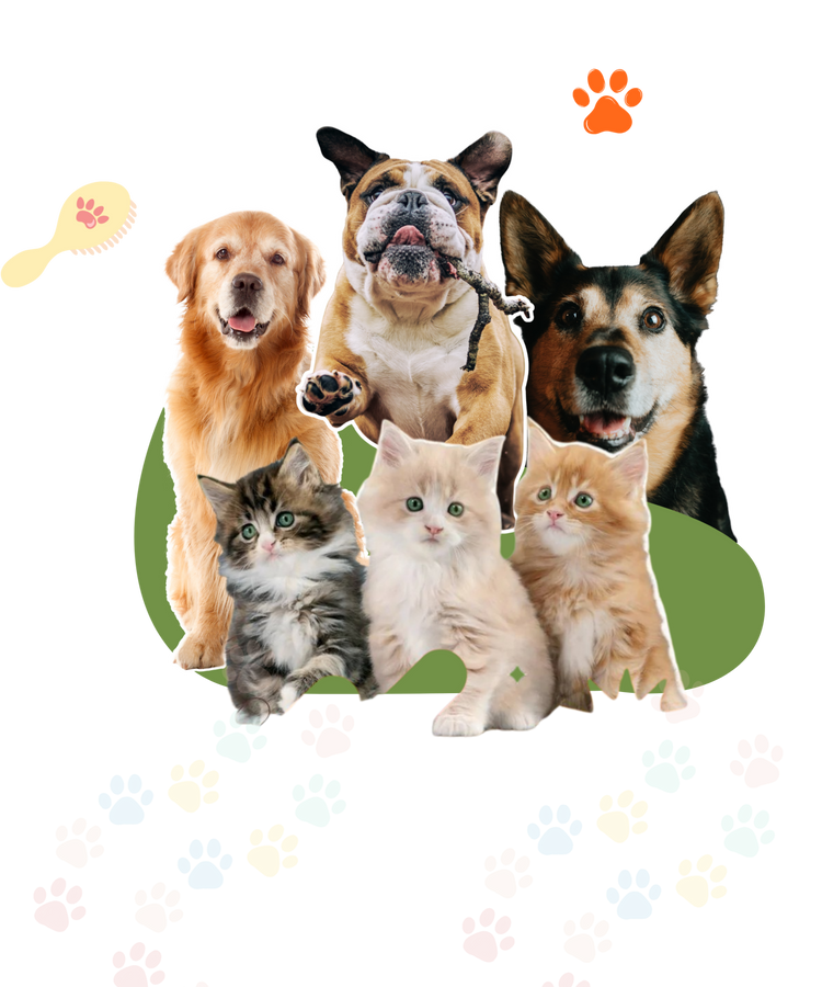 K Pet Supplies & More Shopify storefront banner with pets