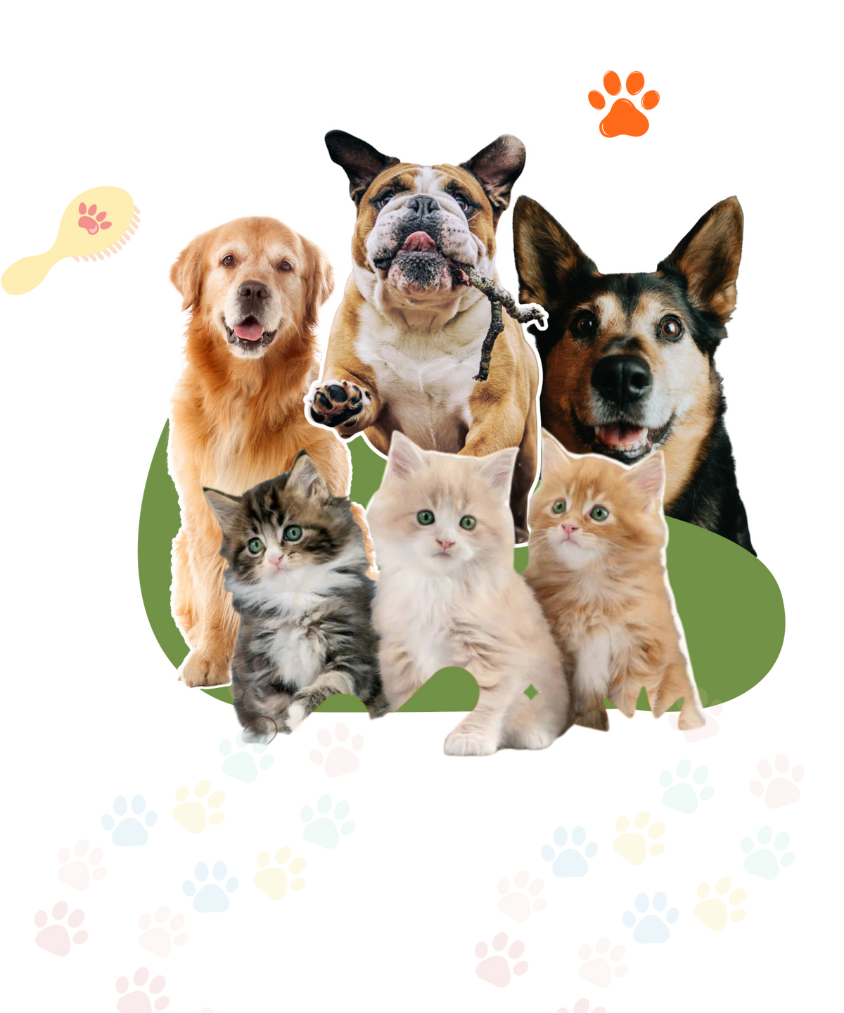 K Pet Supplies & More storefront banner with cats, dogs and cheerful orange branding